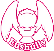 Eushully