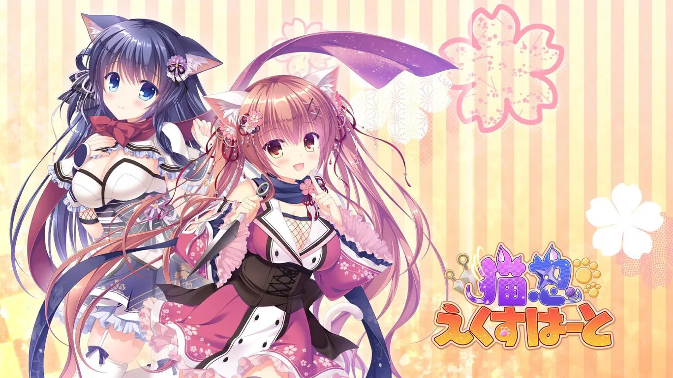 貓忍之心