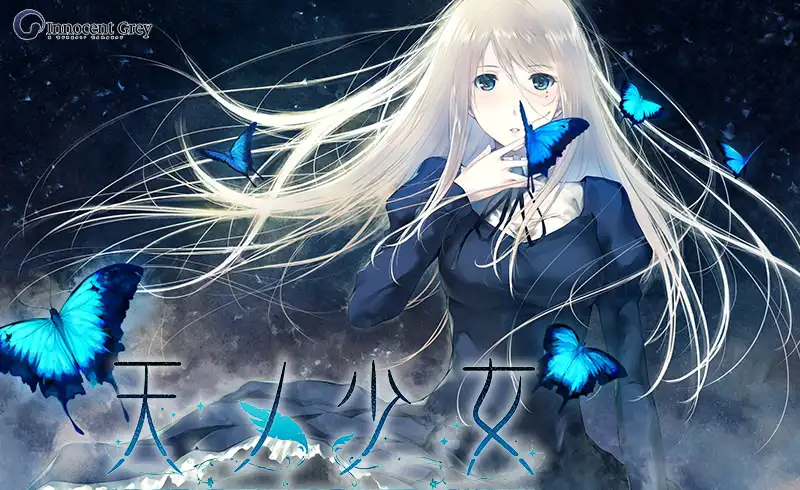 天之少女