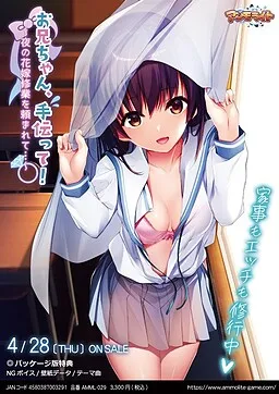 お兄ちゃん、手伝って！～夜の花嫁修業を頼まれて…～