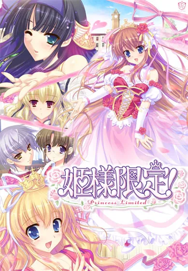 姬样限定！～Princess Limited～