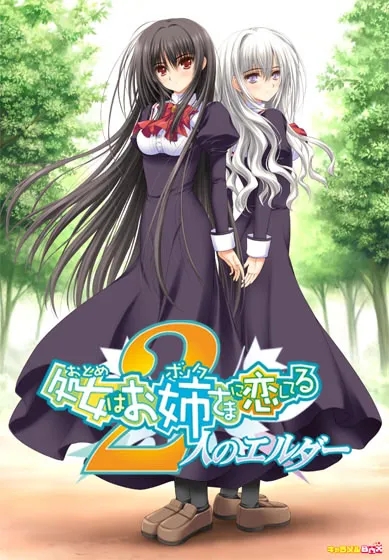 少女爱上姐姐2