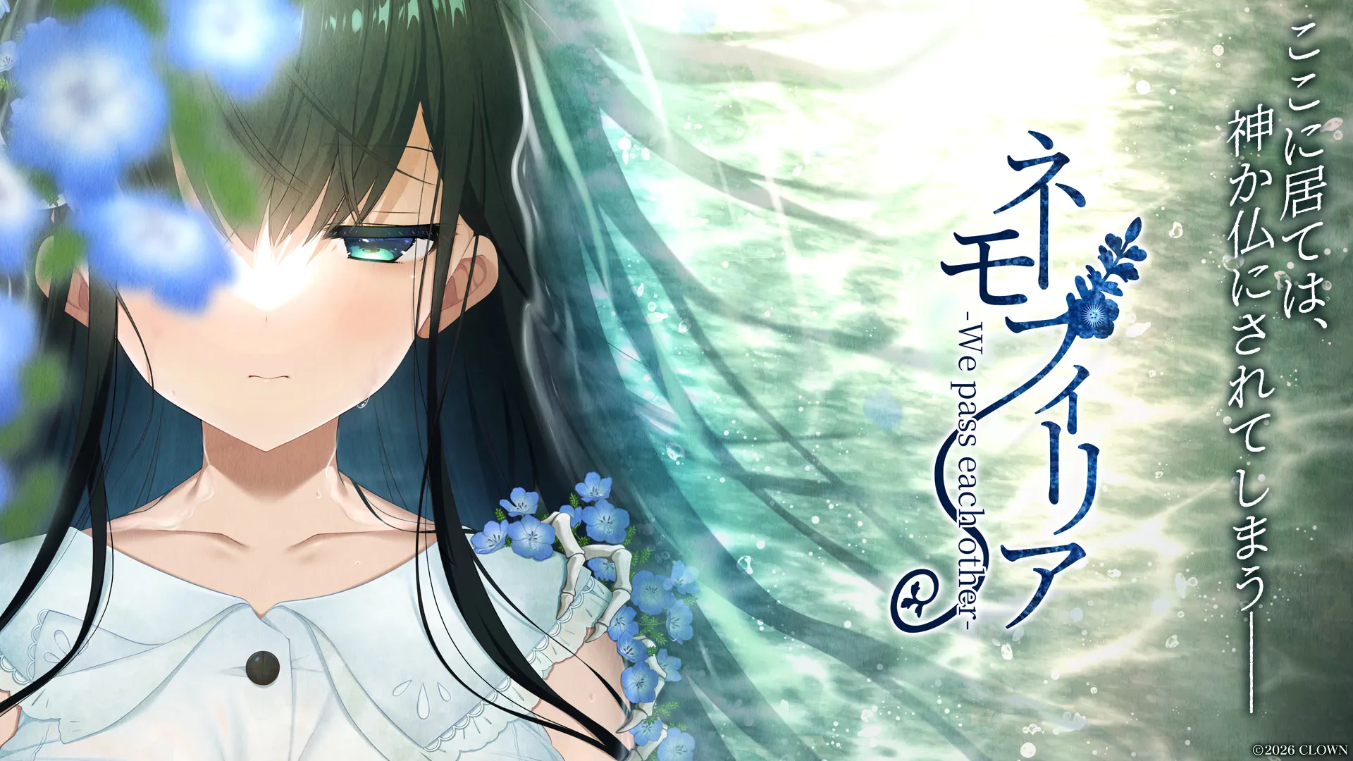 粉蝶花 -擦肩而过-